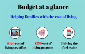 Budget at a Glance – Video